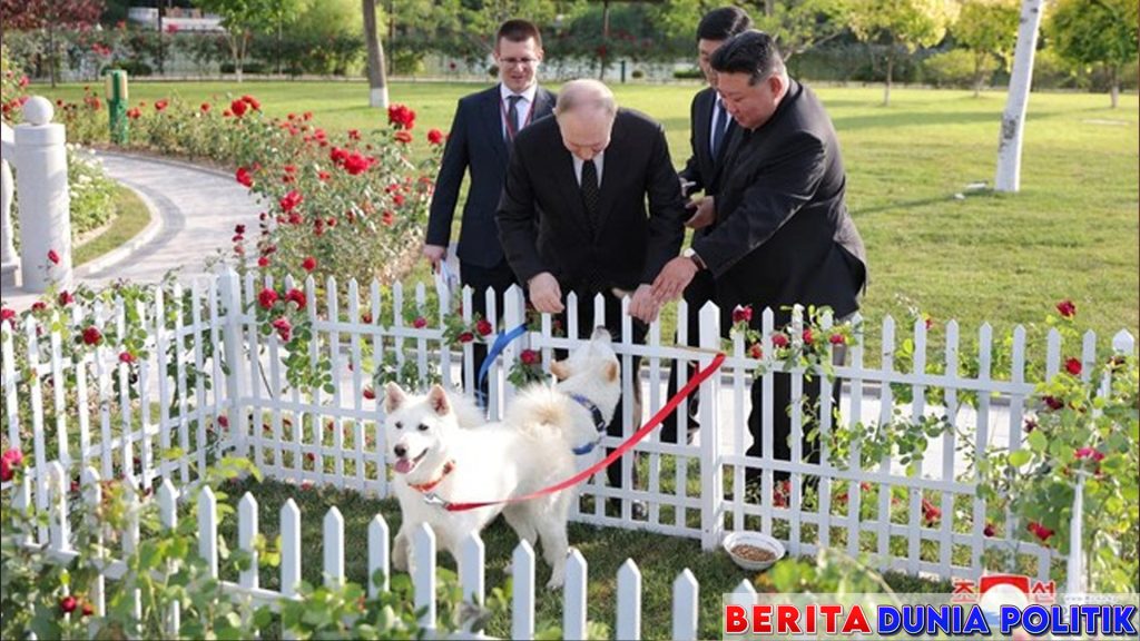 Hadiah Spesial dari Kim Jong Un: Anjing Pungsan Putih untuk Putin