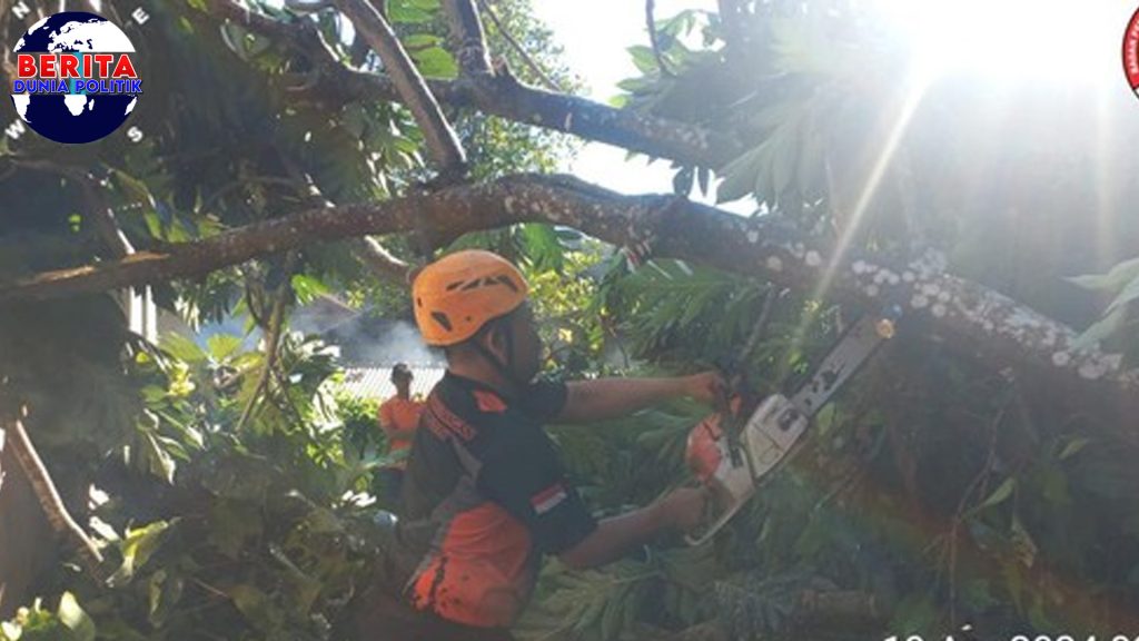 Melaya Berduka: Rumah Tertimpa Pohon, Longsor Ancam Warga!