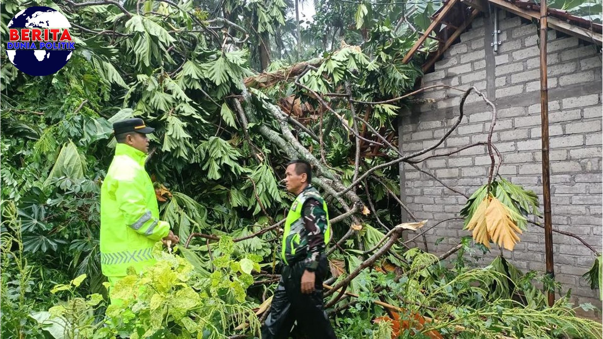 Melaya Berduka: Rumah Tertimpa Pohon, Longsor Ancam Warga!