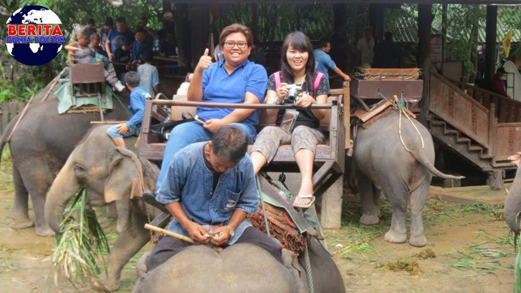 Menguak Misteri di Balik Serangan Gajah Mematikan!