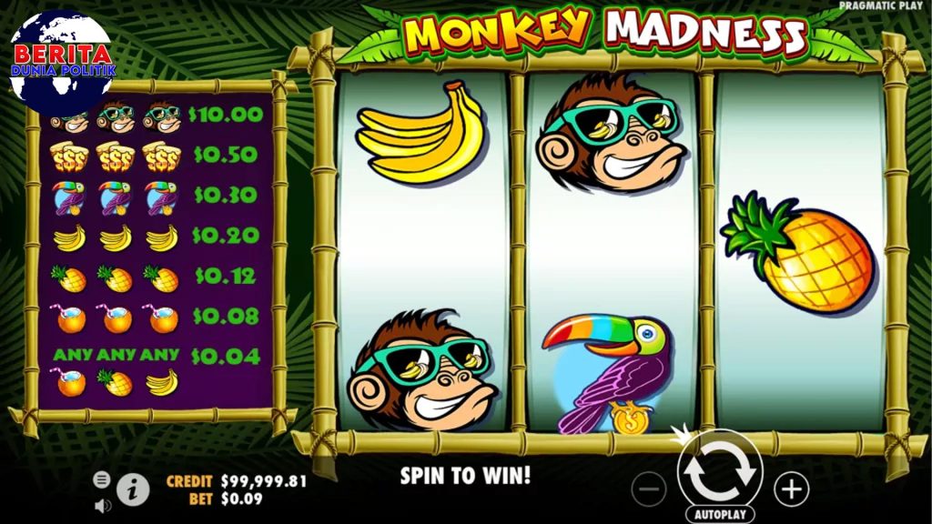 Wow! Pemain Kaget Menangkan Uang Besar di Monkey Madness!